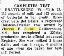 Sutliff - Sunrise Farm 1955 Holstein Testing
