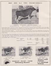 Holstein News - 1961