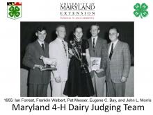 Maryland 4-H Dairy Judging Team - 1955