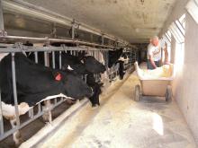 Photo by Carol Mills Weiger 2014