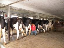 Photo by Carol Mills Weiger 2014