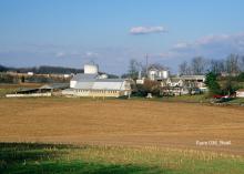 Photo by Richard Rowe 2008