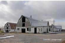 Photo by Richard Rowe 2013