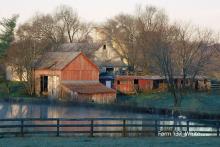 Photo by Richard Rowe 2015