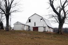 Photo by Richard Rowe 2013