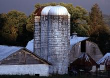 Photo by Richard Rowe 2008