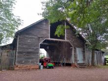 Photo by Richard Rowe 2024