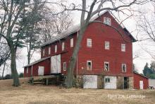 Farm # 208 Ginger Lethbridge Photo by Richard Rowe 2009