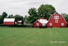 Photo by Richard Rowe