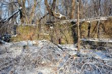 Photo by Richard Rowe 2009