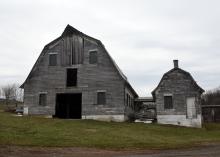 Photo by Richard Rowe 2017