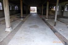 Photo by Richard Rowe 2017