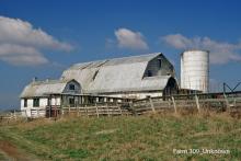 Photo by Richard Rowe 2008