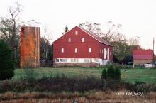 Farm # 323 Beyle Gray Photo by Richard Rowe 2006