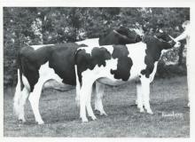 Photograph by Remsberg