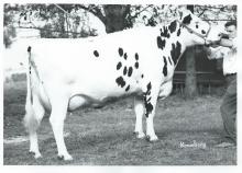 Photograph by Remsberg