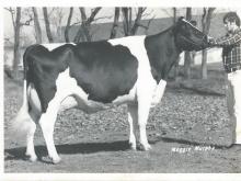 Photograph by Remsberg