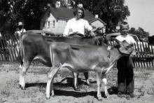 Pat and Bruce Berlage with Jersey Heifers, 19 Aug 1944