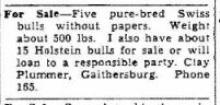 Plummer, Clay Bulls for sale or lend 1942
