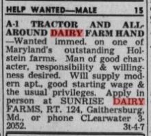 1960 Help wanted ad Sutliff Sunrise dairy Farms